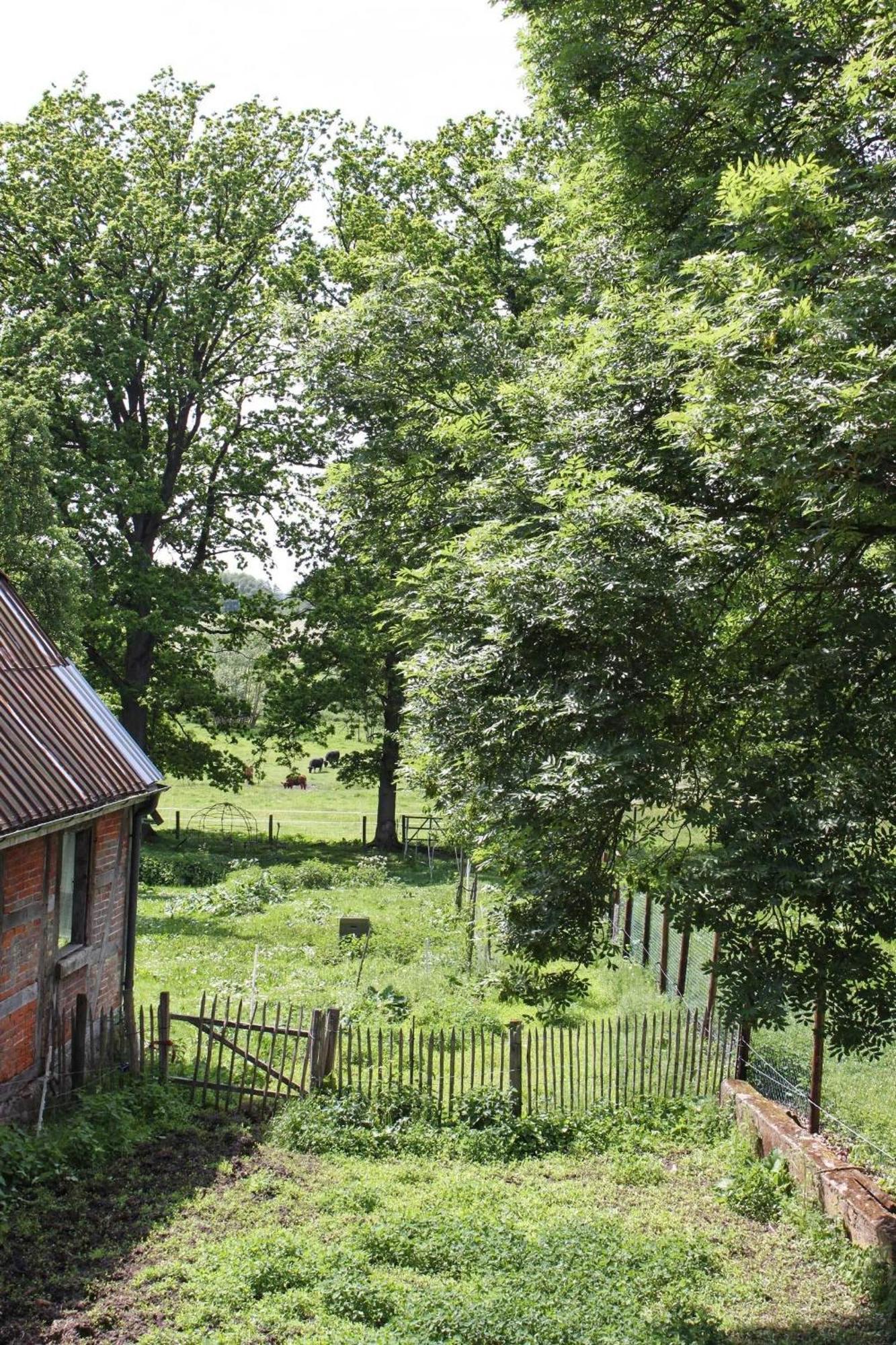 Ferienwohnung Auf Der Ruebenburg Barnsen Esterno foto